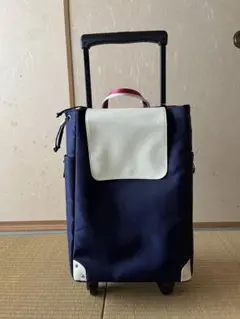ダニーボーイ様専用☆SWANY スワニー キャリーバッグ キャリー カート