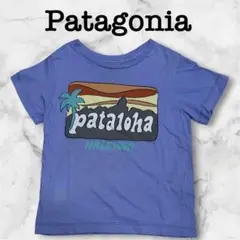 ハレイワ限定　パタゴニア　パタロハ　pataloha 90 2T Tシャツのサムネイル