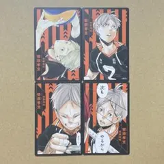 ハイキュー ボードゲーム カード 菅原孝支