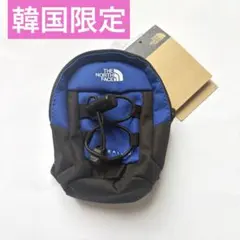 新品未使用 ノースフェイス ボレアリスII ミニポーチ カラビナ付 海外限定