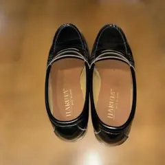 ハルタローファー23センチEE