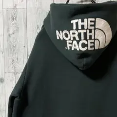 ザ・ノースフェイス　リアビュー　スウェット パーカー　LARGE ダークグリーン