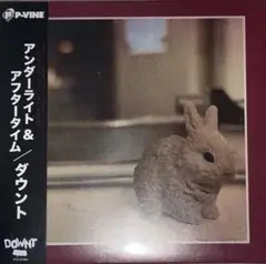 downt /ダウント　Underlight & Aftertime