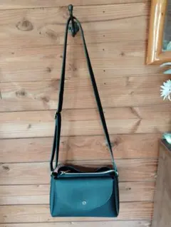 再値下げ！　ブラック ショルダーバッグ