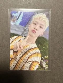 sector17 ホシ トレカ