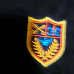 エンブレム刺繍ワッペン