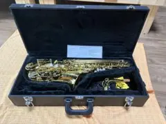 2025年最新】サックス MAXTONEの人気アイテム - メルカリ