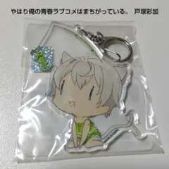新品未開封】俺ガイル ビッグアクスタ いろは おかしのいえ - メルカリ