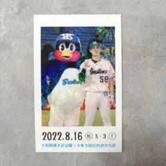 長岡秀樹選手　ファン感謝Dayグッズ 2025年最新】ファン感謝デー ヤクルト 長岡の人気アイテム