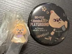 スキズdominATEエコパPLAYGROUND缶バッジ+めじるしアクセサリー