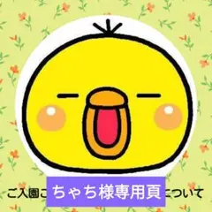 ちゃち様専用頁(オーダー4点)