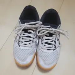 Item thumbnail for item 30b21eb9-fc52-49bc-bf59-101a549a394c