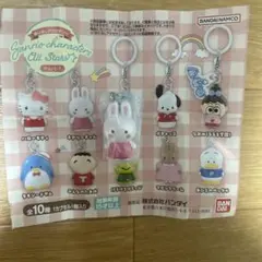 めじるしアクセサリー　チアリーチャム