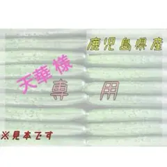 天華様専用　⑥10キロ