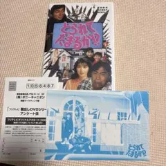 とられてたまるか!? DVD レア 武田鉄矢 田中美佐子吉田雅子 明石家