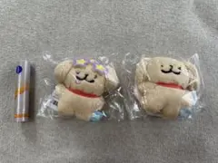 モルチーズ レトリバー 東京キャラクターストリート maltese