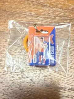 アルビレックス新潟 めじるしキーホルダー 若月