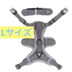 Item thumbnail for item 8b4ca832-89cf-4a3f-b7ec-2f40900a2750