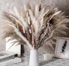 大容量 パンパスグラス ドライフラワー 詰め合わせ 50本 インテリアスワッグ