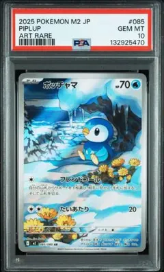 ②ポッチャマ AR PSA10 インフェルノX M2 085/080