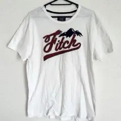 Abercrombie&Fitch アバクロ メンズ Tシャツ L
