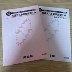 2024年 河合塾 高3 グリーンコース 難関理系数学ⅢC / 難関物理 セット