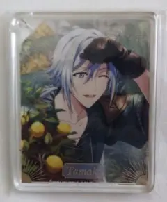 アイドリッシュセブン アニメイトカフェ 記念日2024 コロッタ　四葉環