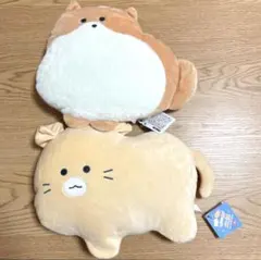 つぶらな瞳の犬と猫　おっきめぬいぐるみ　ぽめらにあん　すこてぃっしゅふぉーるど