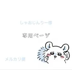 しゃおじんりー様 リクエスト 3点 まとめ商品