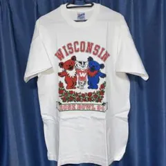 ☆ビンテージ グレートフロッグTHE GREAT FROG Tシャツ長瀬着80s