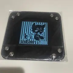 SERVAMP サーヴァンプ 組み立て式 小物入れ クロ 非売品 未開封