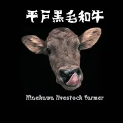 Item thumbnail for item c6aec996-e38d-459e-b2fa-e134df5d4b16