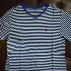 POLO RALPH LAUREN 青白ストライプ Tシャツ