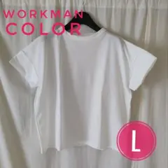【ワークマンカラー】レディース ドライ 半袖 Tシャツ ホワイト Lのサムネイル