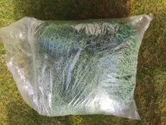 ゴルフ場ネット　10mx5m　業務用　高耐久　野球・鳥避け・保護用グリーンネット ⑱ゴルフ場ネット 10mx5m 業務用 高耐久野球・鳥避け・保護用グリーン