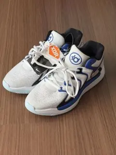 ナイキ　NIKE KD17 スニーカー 新品