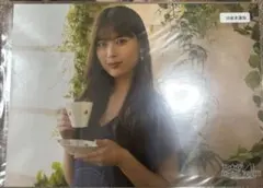 Item thumbnail for item 17b27eb0-2b28-455e-b85b-2f7044ed9370