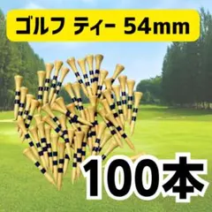 ゴルフ ティー　54mm 100本 大容量 プレゼント 彼 父 上司 コンペ
