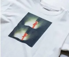 Item thumbnail for item 4f4022fc-e9b1-43b6-9702-ce42332da2a3