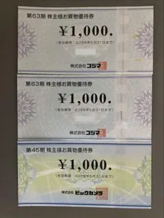 コジマ・ビックカメラ株主優待券 3000円分（1000円券×3枚）