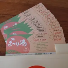 【匿名配送】浅草ROX まつり湯 特別ご招待券 8枚　テーオーシー 株主優待のサムネイル