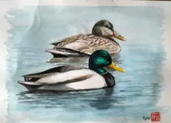 Item thumbnail for item 963454b2-5274-48e7-8e9a-c3876c8e3135