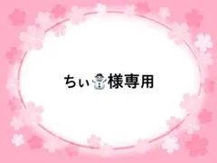 ちぃ⛄️様専用