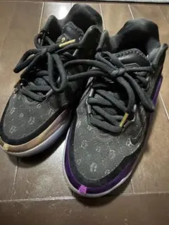 Nike NIKE LEBRON XXIII GSナイキ スニーカー パープル
