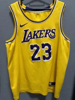 Nike LosAngelesLakersLeBronJamesJersey23
