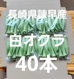 ⑤長崎県諫早産 白オクラ 40本のサムネイル