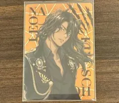ツイステ レオナ メタルカード まとめ売り - メルカリ