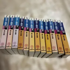 徳川家康 横山光輝 全8巻セット 文庫版 - メルカリ