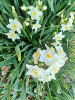 よしえ様 リクエスト 2点 まとめ商品