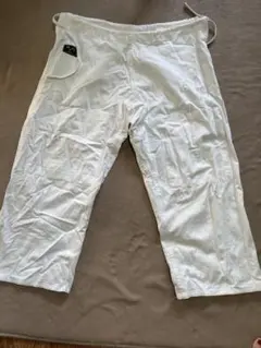 Item thumbnail for item 23a45c15-980b-4308-ab45-ec696d3ae8d6